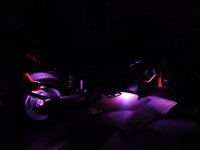purple neon.jpg