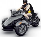 batspyder.jpg