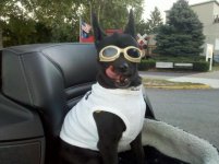IMG_20100930_LickTrain.jpg