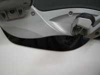 CAT-SHIELD-1-WEB.jpg