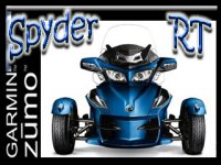 BlueSpyderSplash copy.jpg