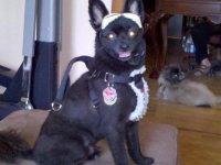 DroidPix-10-2010 991.jpg