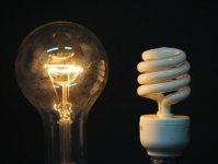 light%20bulbs.jpg