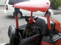 IMG_20120720_160323.jpg