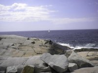 DSCN1186.jpg
