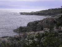 DSCN1498.jpg