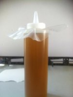 Bottle of Oil.jpg