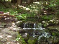 Aug 2011 010.jpg