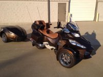 2012 Bronze Beauty.jpg