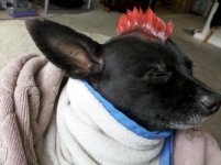 IMG_20120805_124138.jpg