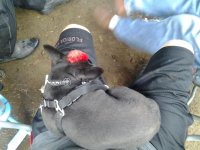 20120810_153634.jpg