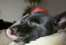 IMG_20120204_103637-1.jpg