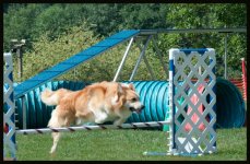 20120816-Trolli-Bob-19.jpg