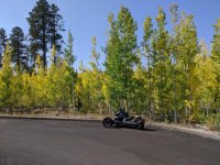 26-Cape_Royal_Road[1].jpg