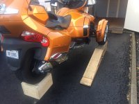 IMG_0555.jpg