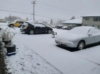 20201211_100530.jpg