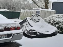 20201211_085513.jpg