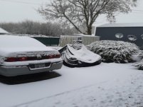 20201211_085518.jpg