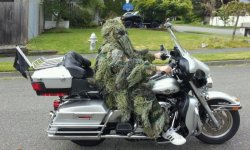 hidebike.jpg