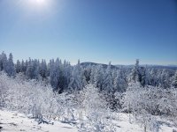 20210131_113648.jpg