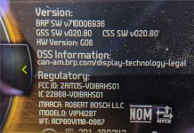 Dash 1 (2).jpg