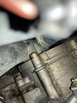 IMG_3222 v2.jpg