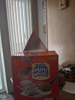 PXL_20210501_155429076.jpg