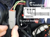 cruise buttons.jpg