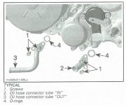 oil tubes 1.jpg
