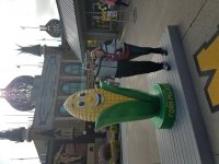 20180909_095652.jpg