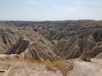 20180909_135854.jpg