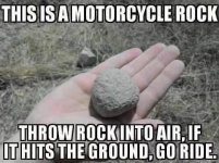 C7372230-4A69-4C3B-BE1C-3B0485B9D8B9.jpeg