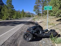 5-Lee Canyon 8000 ft 17 July 2020.jpg