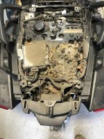 Rat's Nest1.jpg