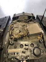 Rat's Nest2.jpg