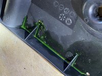 IMG_1741.jpg
