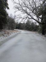my road 2-24-2022.jpg