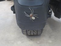 IMG_8342.jpg