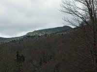 IMG_20220422_113345380.jpg