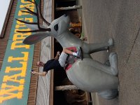 wall drug landscape.jpg