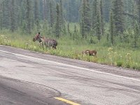 IMG_0558 june 28.jpg