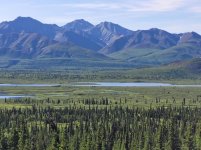 Alaska July 3g.jpg