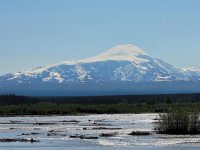 Alaska July 3m.jpg