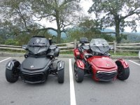 IMG_20220819_125606718.jpg