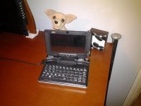 20120828_210333.jpg
