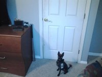 20120828_210223.jpg