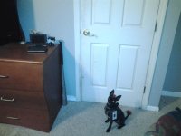 20120828_210213.jpg