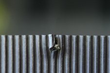 IMG_1476.jpg