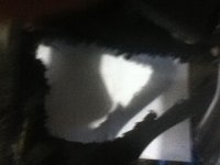 IMG_1678.jpg