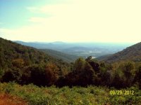 Parkway 001.jpg